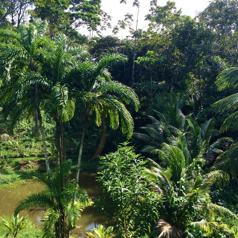 Los Secretos Guesthouse Bocas del Toro Eksteriør bilde