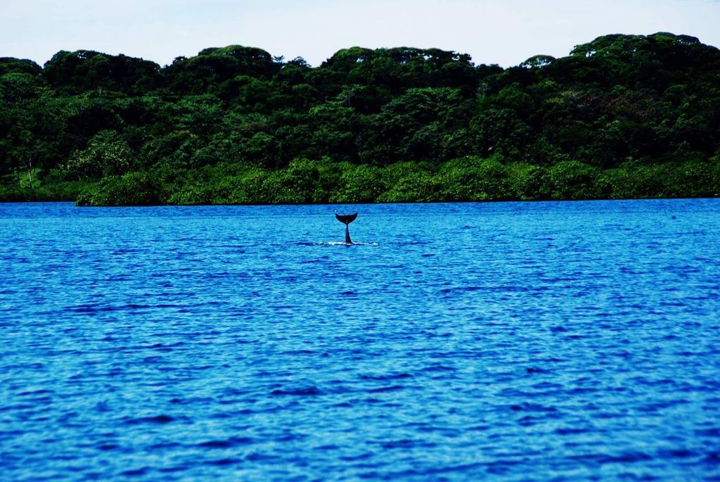 Los Secretos Guesthouse Bocas del Toro Eksteriør bilde