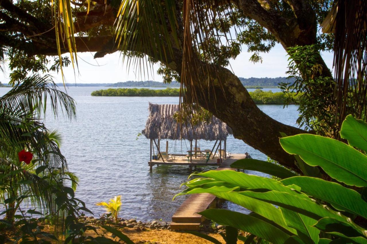 Los Secretos Guesthouse Bocas del Toro Eksteriør bilde