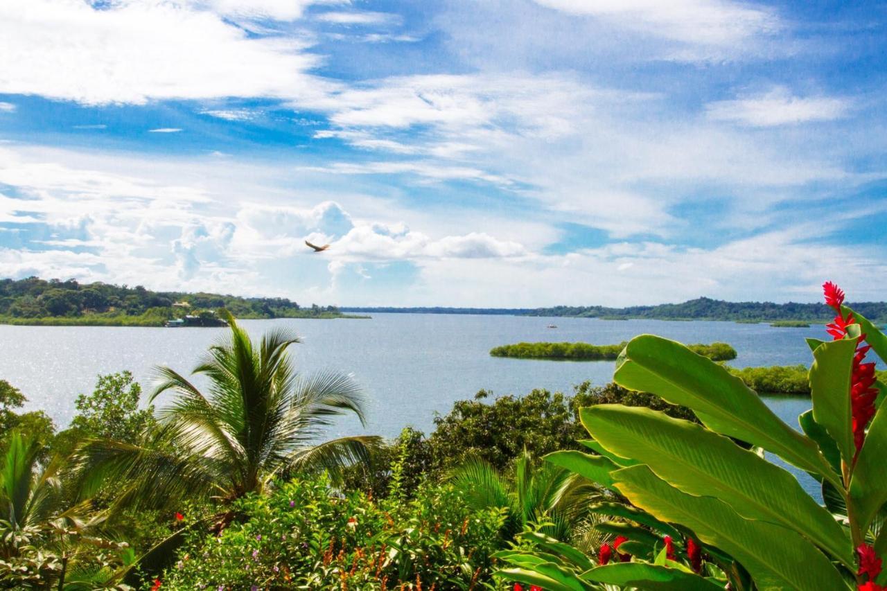 Los Secretos Guesthouse Bocas del Toro Eksteriør bilde